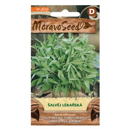 Osivo bylinek - Šalvěj lékařská (MS)