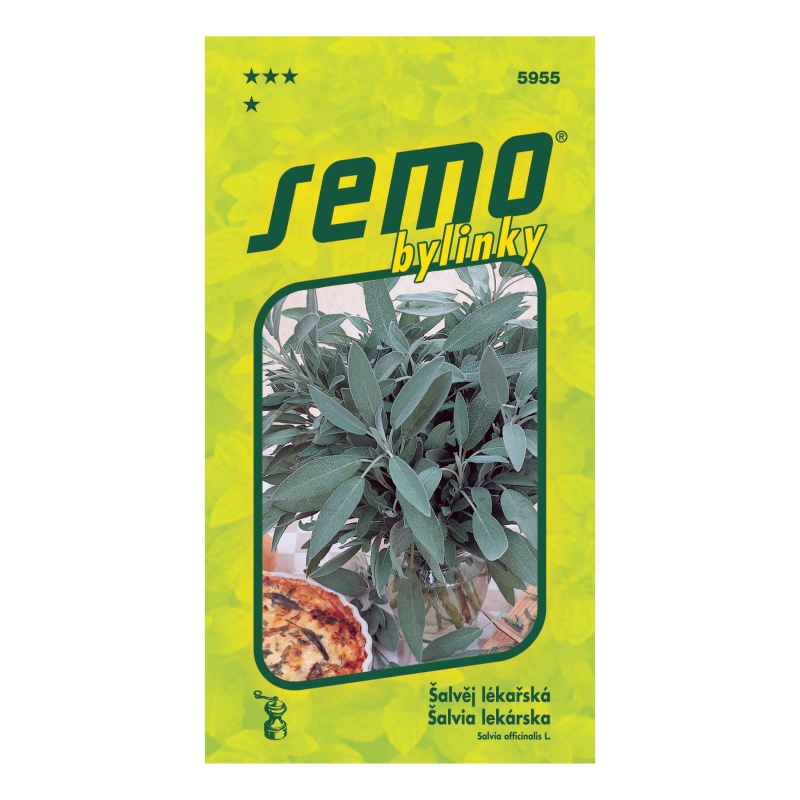 Šalvěj lékařská-0