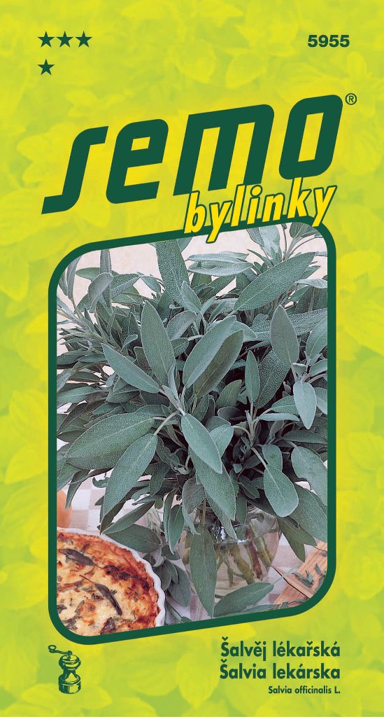 Osivo bylinek - Šalvěj lékařská