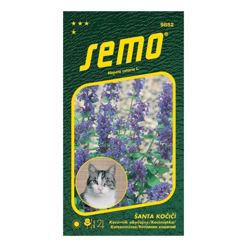 Osivo pro zvířata a medonosné - Šanta kočičí Cat Grass