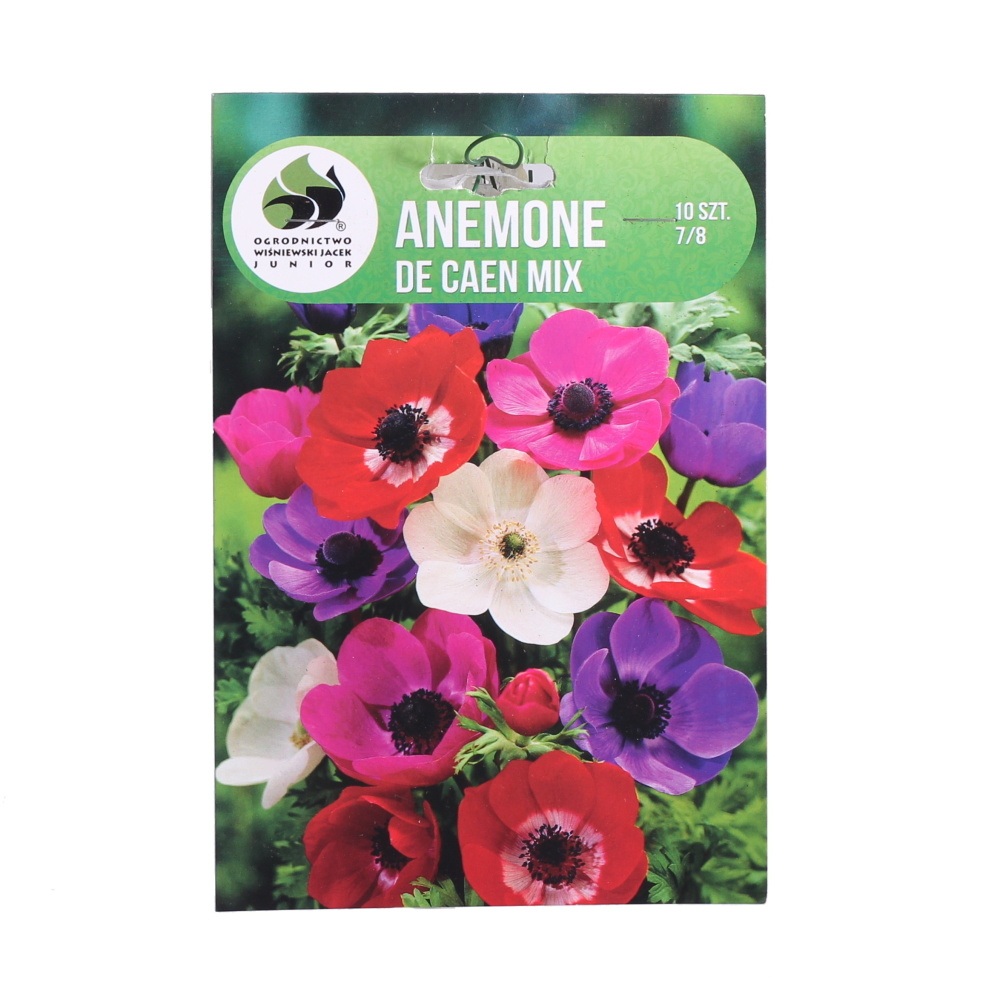 Ostatní jarní cibuloviny - Sasanka De Caen 10ks