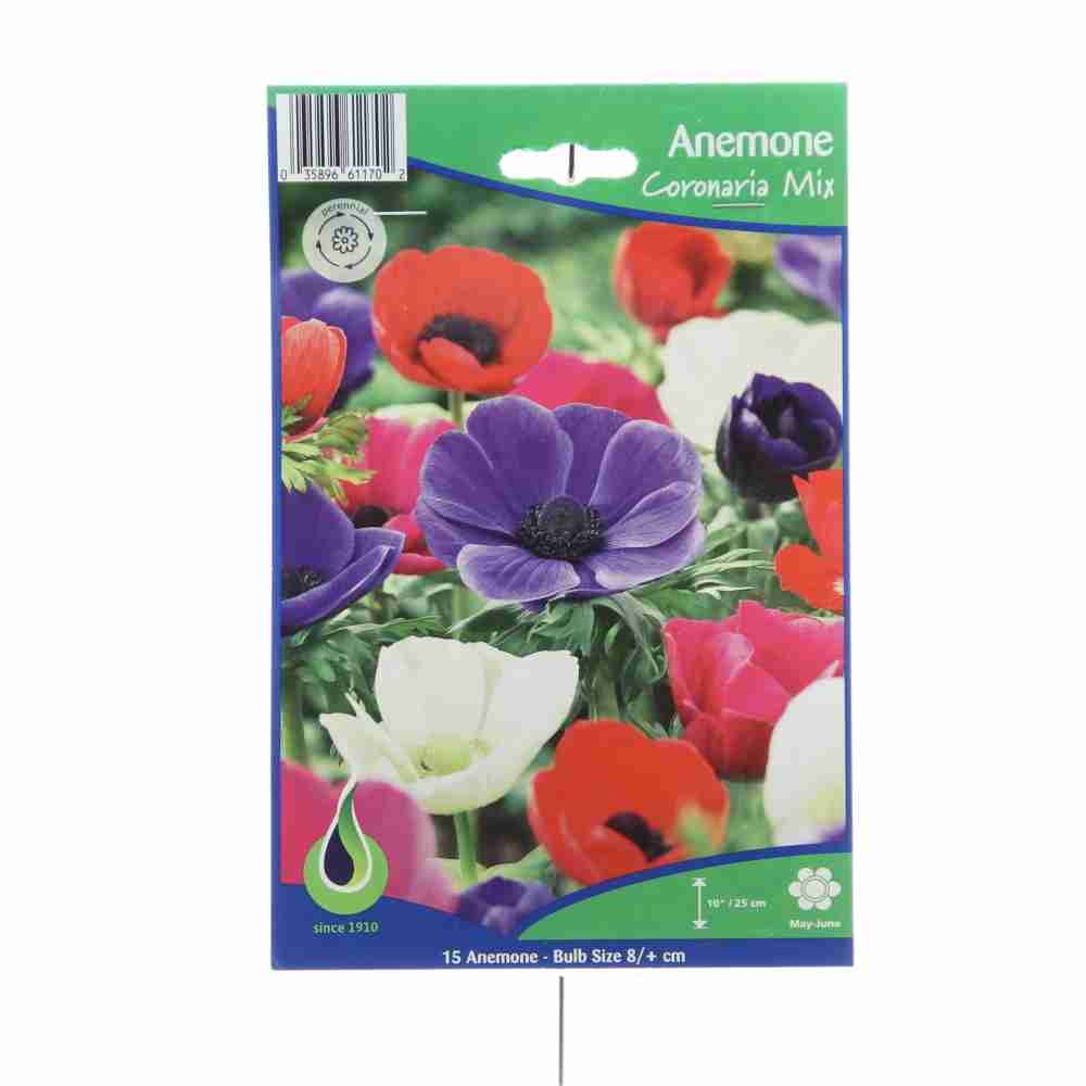 Ostatní jarní cibuloviny - Sasanka proměnlivá 15ks mix