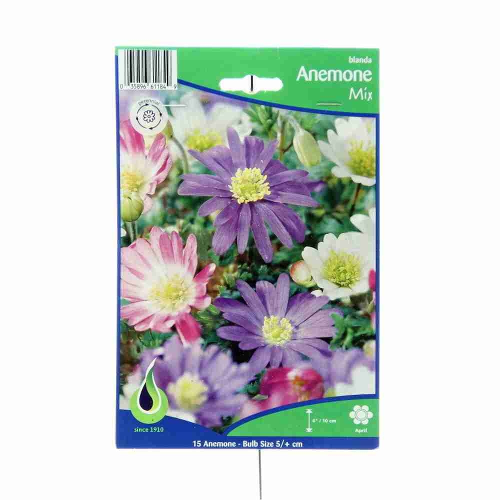 Ostatní jarní cibuloviny - Sasanka rozkošná mix 15ks