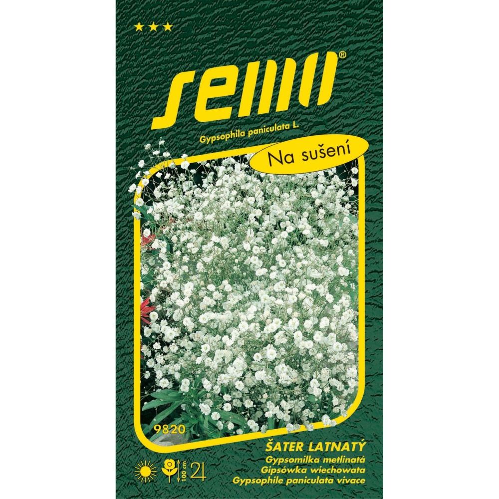 Osivo trvalek - Šáter latnatý směs k sušení