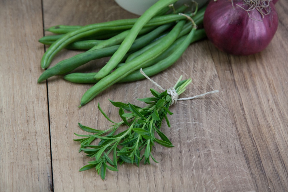 Saturejka horská BIO květináč 12cm-0