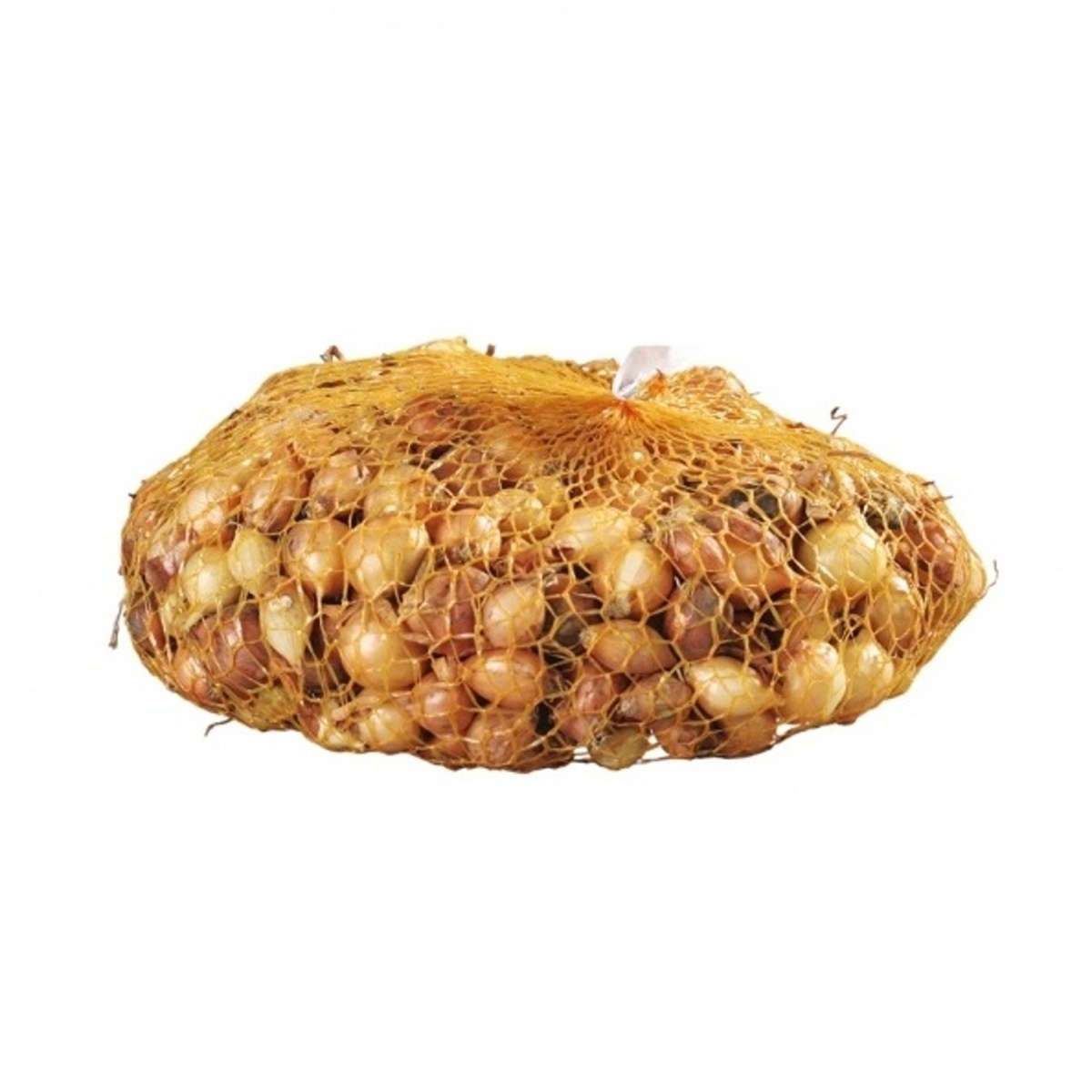 Sadba česneku a cibule - Sazečka Herkules 500g