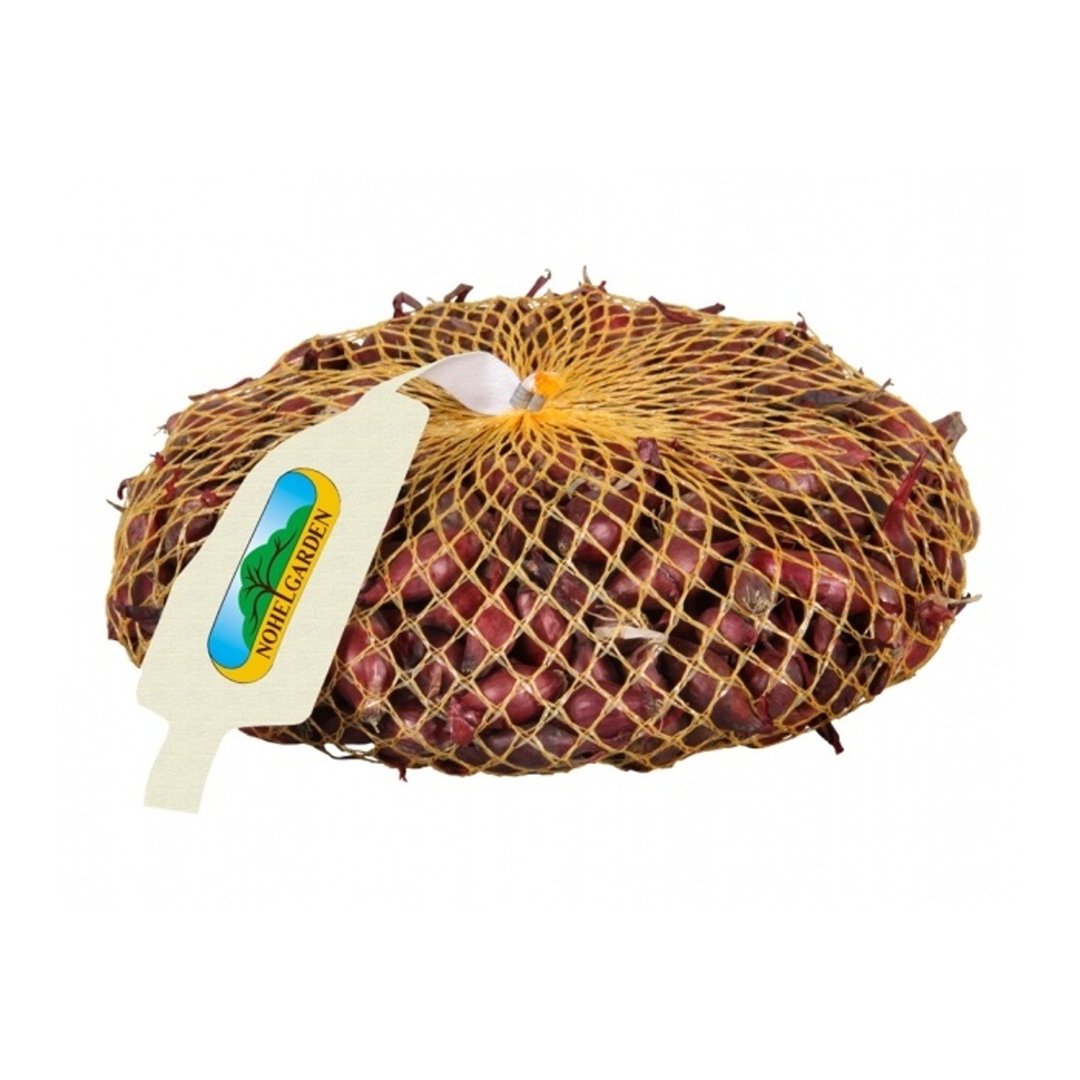 Sadba česneku a cibule - Sazečka Romy 500g