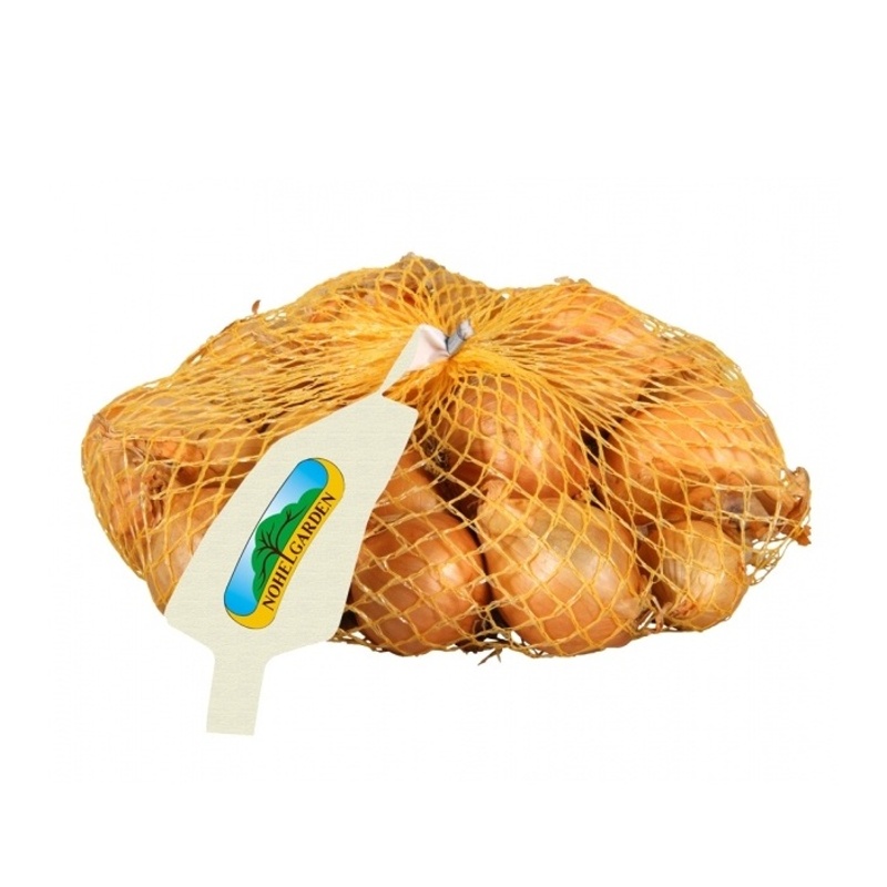 Sadba česneku a cibule - Sazečka šalotka Golden Gourmet 500g