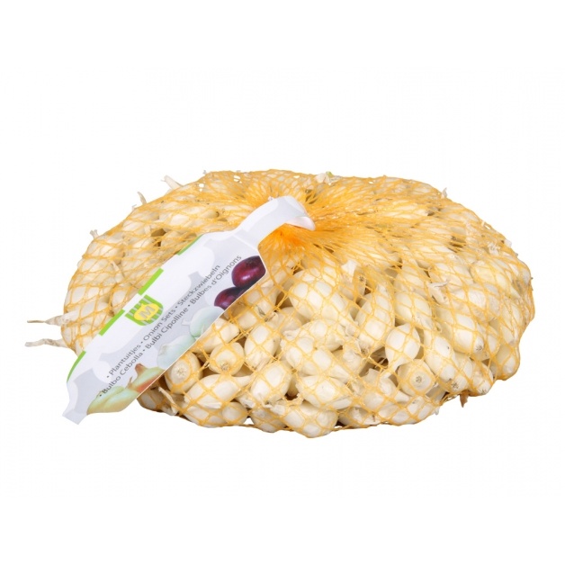 Sadba česneku a cibule - Sazečka SNOWBALL 500g