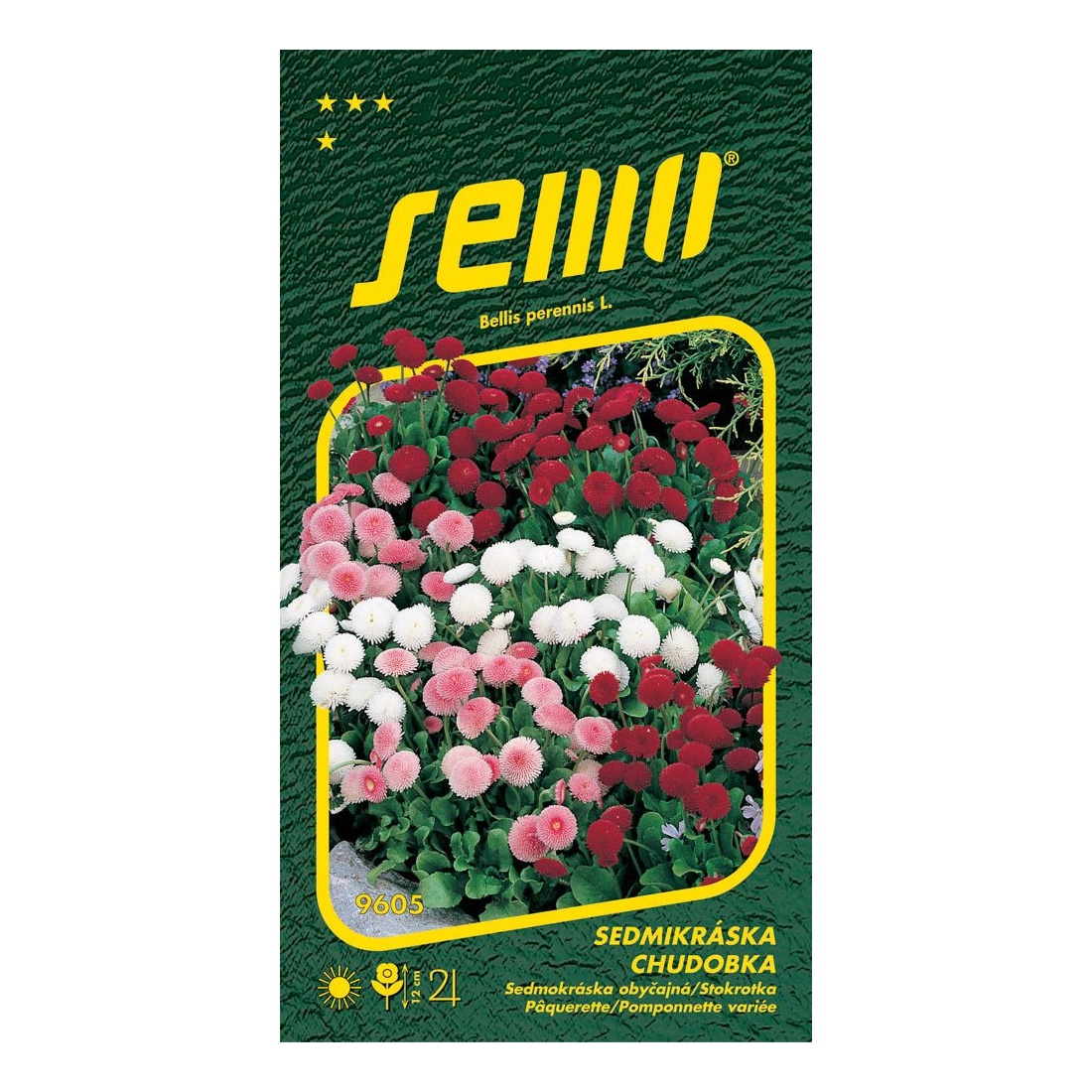 Osivo dvouletek - Sedmikráska chudobka směs plnokvětá