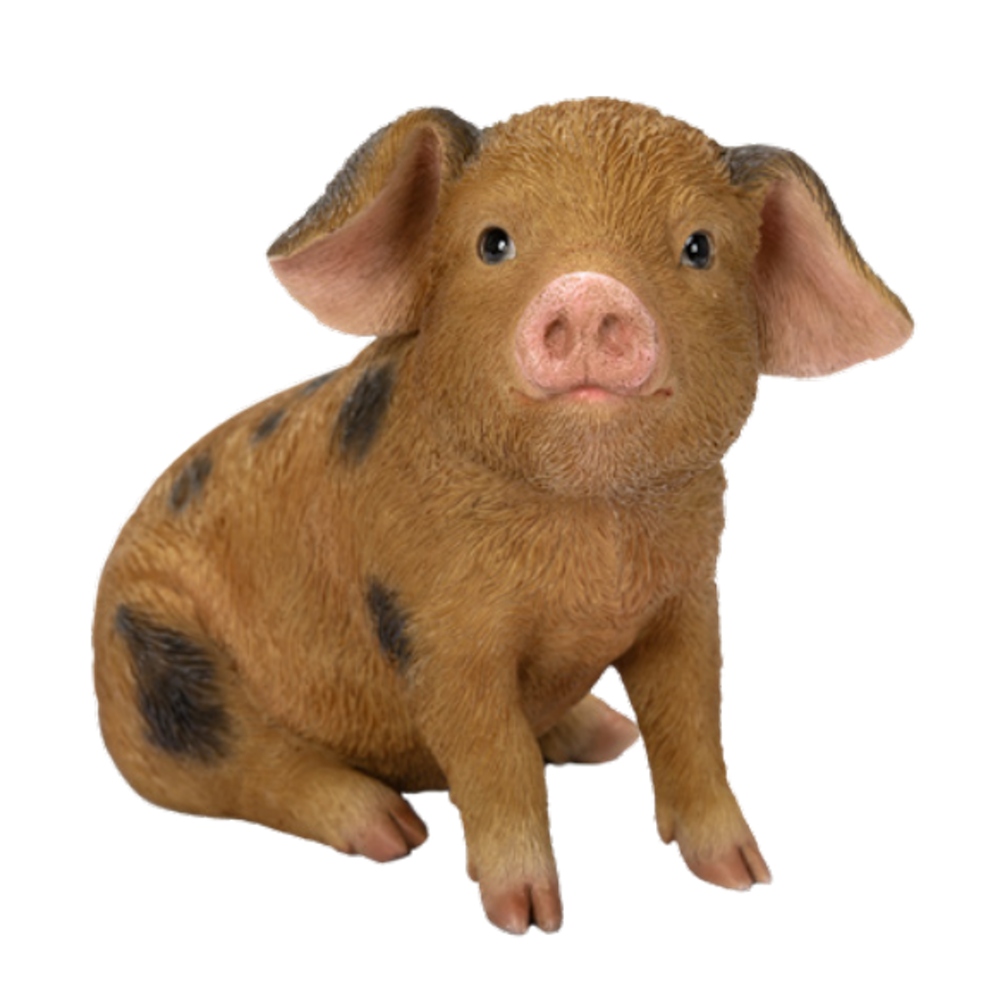 Venkovní zvířátka - Sele Oxford stojící polyresinové 17cm