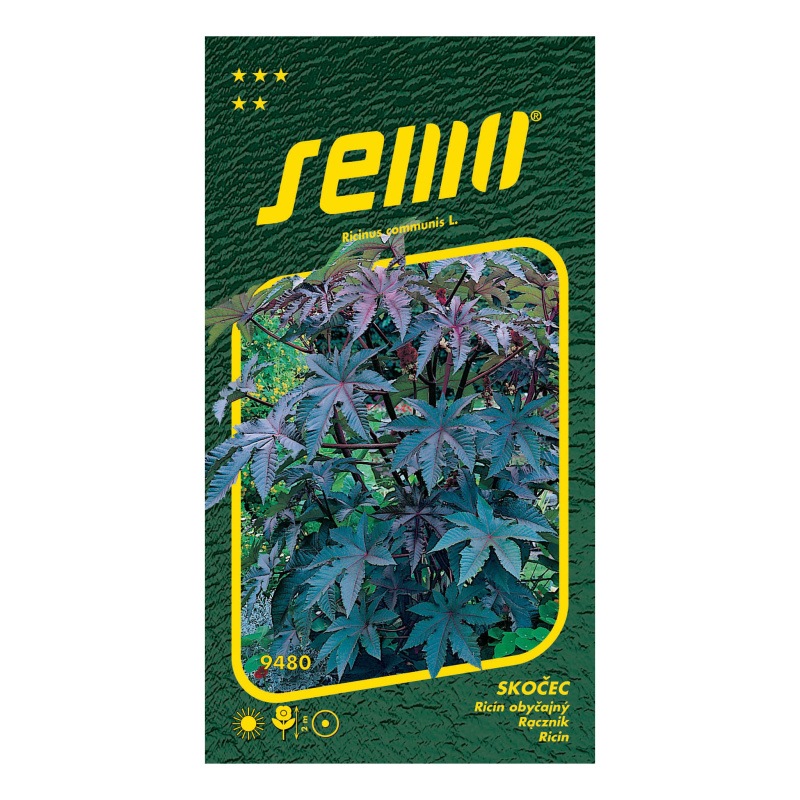 Skočec obecný Sanguin červenolistý-0