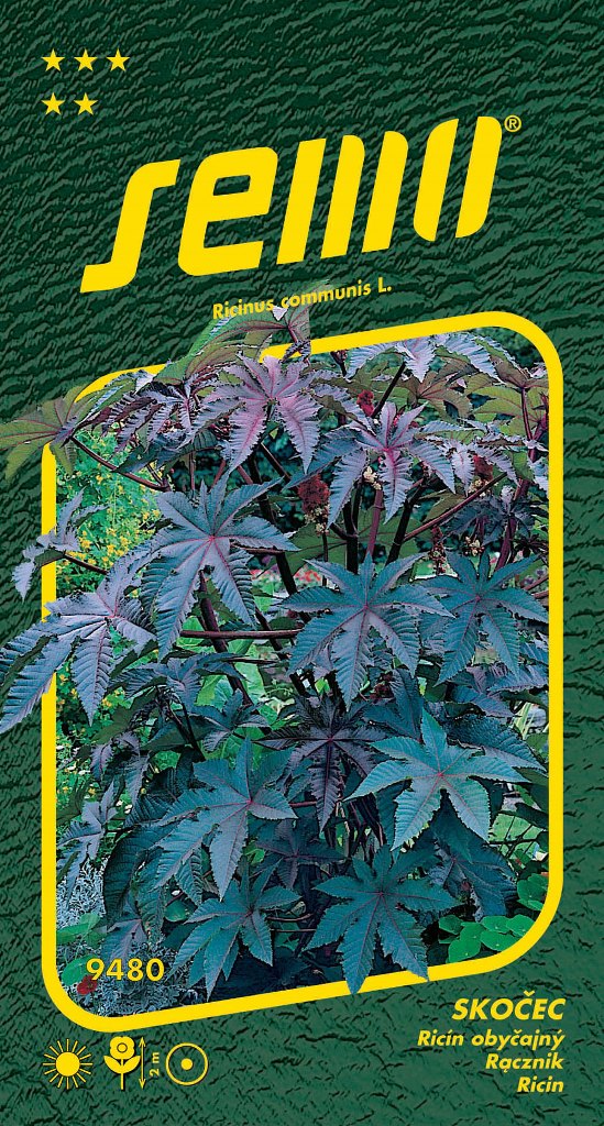 Osivo letniček - Skočec obecný Sanguin červenolistý