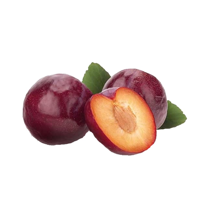 Slivoň Althanova renklóda květináč 5 litrů, balkonová, zákrsek, CIZOSPRAŠNÁ-0