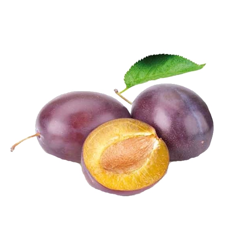 Slivoň 'Czar' květináč 5 litrů, balkonová, zákrsek, SAMOSPRAŠNÁ-0