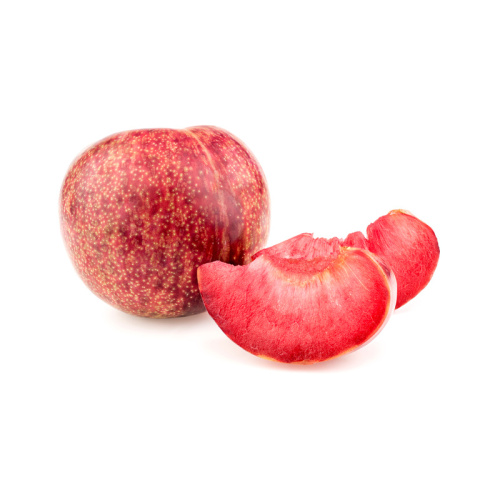 Meruňky - Slivoň Dapple Dandy květináč 6 litrů, čtvrtkmen, SAMOSPRAŠNÁ