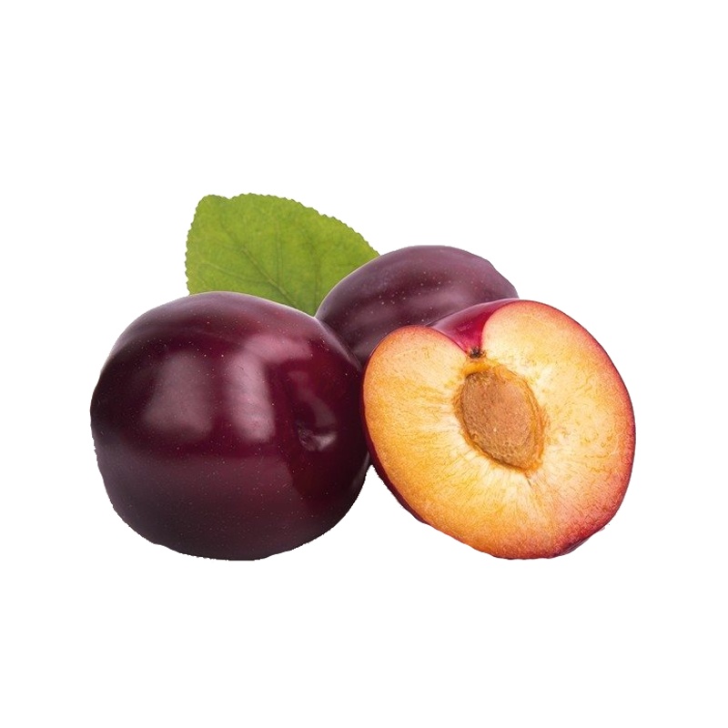 Slivoň Jubileum výška 150/175cm, květináč 6 litrů-0