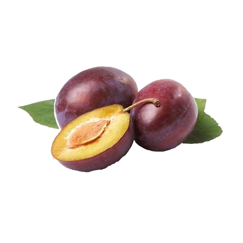 Slivoň Opál květináč 5 litrů, balkonová, zákrsek, SAMOSPRAŠNÁ-0