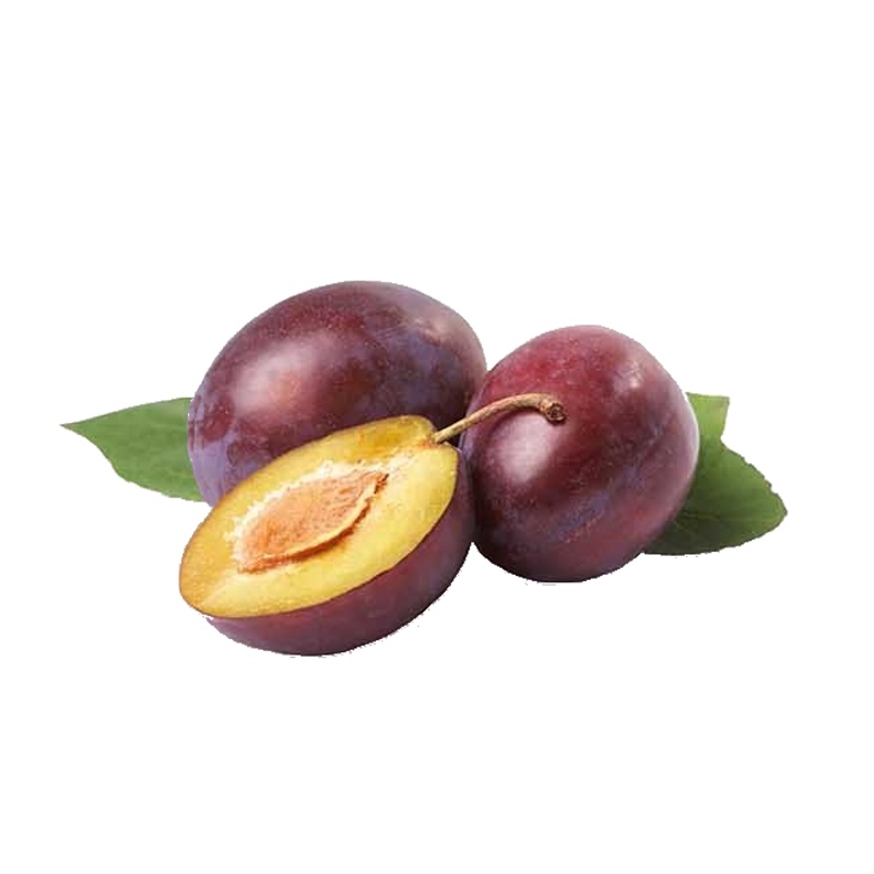 Slivoň Opál květináč 6 litrů, výška 150/175cm, stromek, SAMOSPRAŠNÁ-0