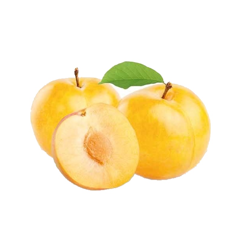 Slivoň Oulinská květináč 6 litrů, výška 150/175cm, stromek, SAMOSPRAŠNÁ-0