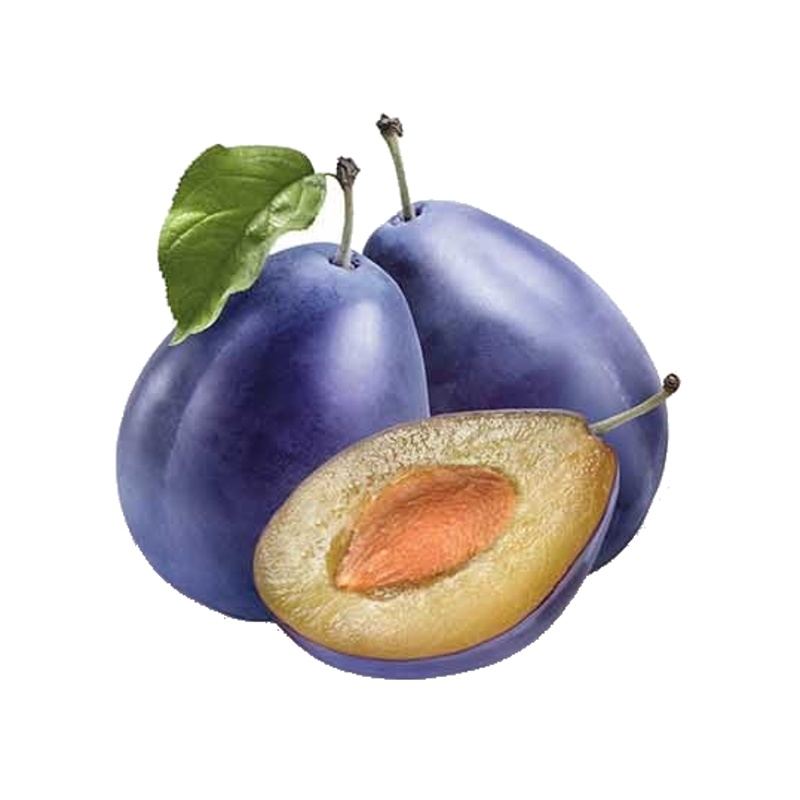 Slivoň President květináč 5 litrů, balkonová, zákrsek, CIZOSPRAŠNÁ-0