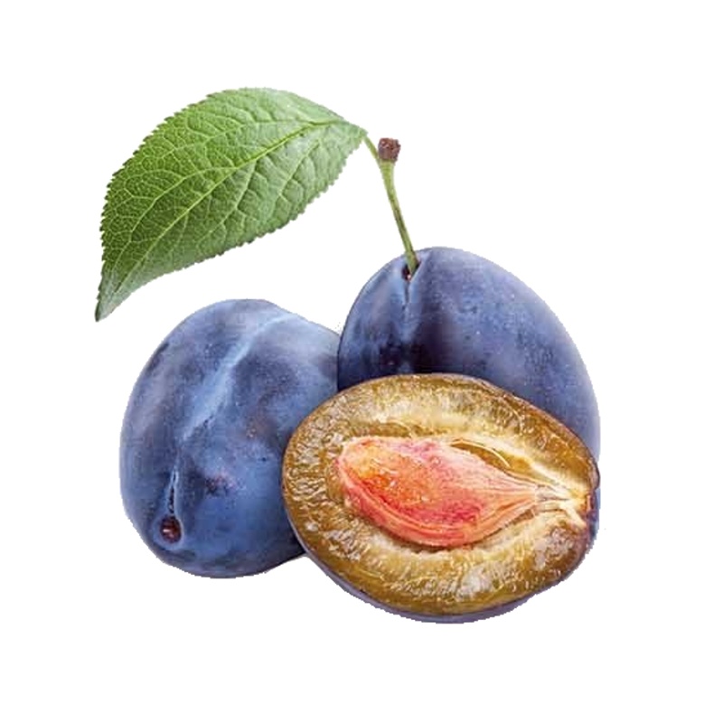 Slivoň Švestka domácí květináč 6 litrů, výška 150/175cm, stromek, SAMOSPRAŠNÁ-0