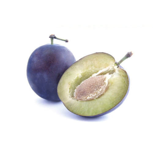 Rostliny - Slivoň 'Topfive' 7,5 litru, samosprašná