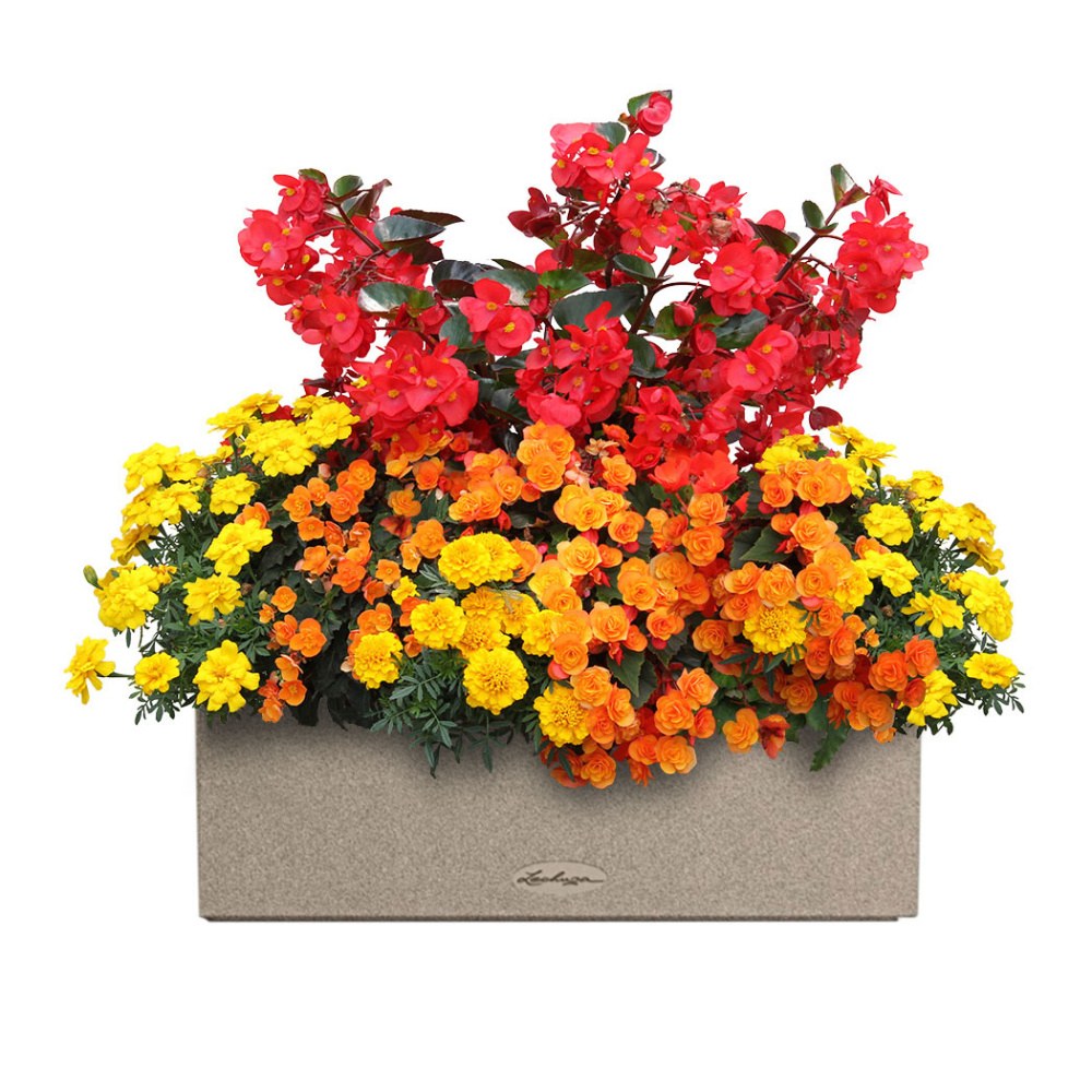 Květinové truhlíky - Slunce v duši Lechuza Stone