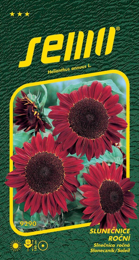 Osivo letniček - Slunečnice roční červená