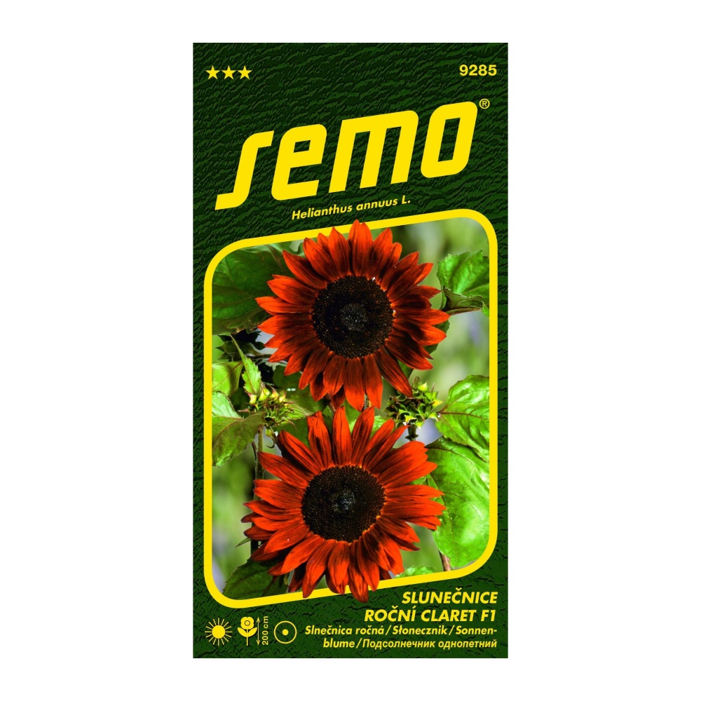 Osivo letniček - Slunečnice roční Claret F1