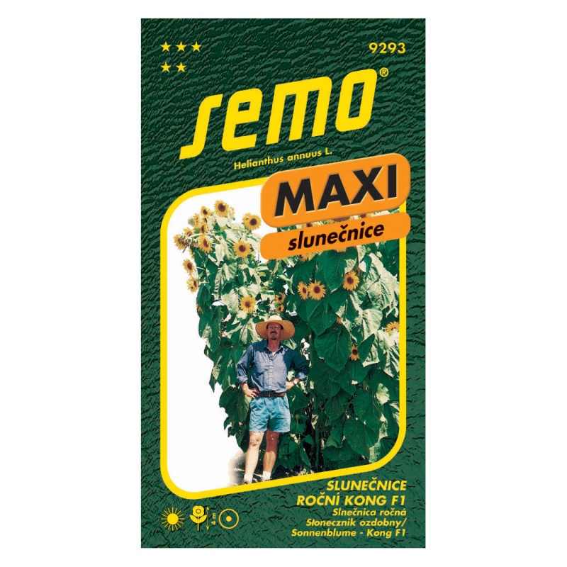 Slunečnice roční Kong F1 MAXI-0