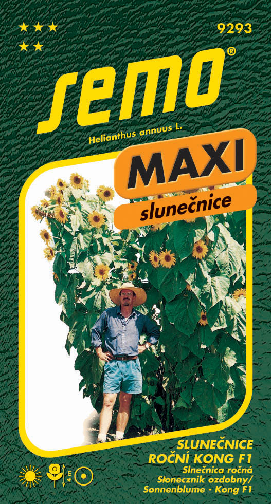 Osivo letniček - Slunečnice roční Kong F1 MAXI