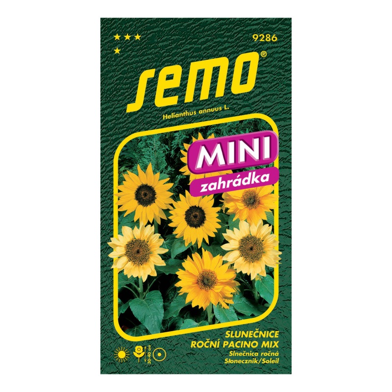 Slunečnice roční Pacino mix MINI-0