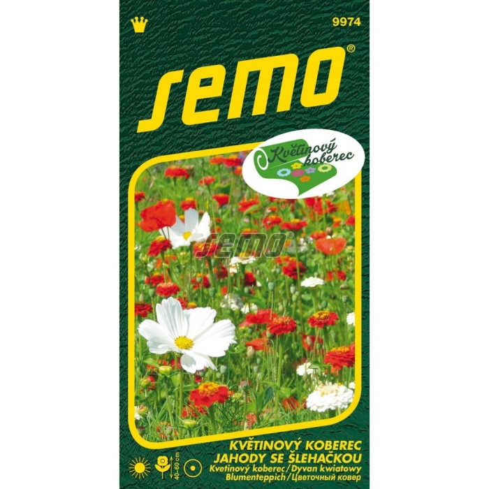 Osivo letniček - Směs Jahody se šlehačkou KVĚTINOVÝ KOBEREC