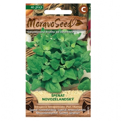 Osivo zeleniny - Špenát novozélandský (MS)