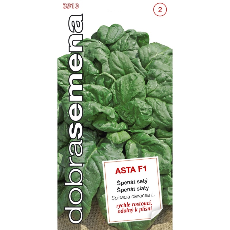Osivo zeleniny - Špenát setý ASTA F1 (DS)