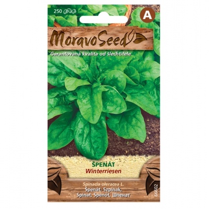Osivo zeleniny - Špenát setý WINTERREISEN (MS)