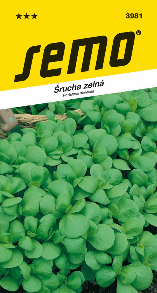 Osivo zeleniny - Šrucha Green Purslane