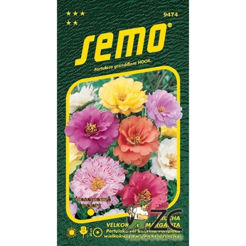 Osivo letniček - Šrucha velkokvětá Margarita mix