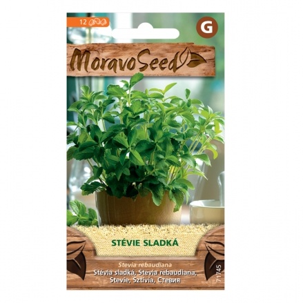 Osivo bylinek - Stevie sladká (MS)