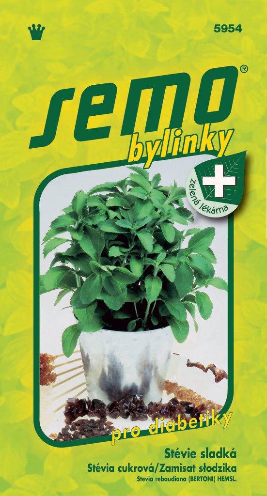 Osivo bylinek - Stévie sladká