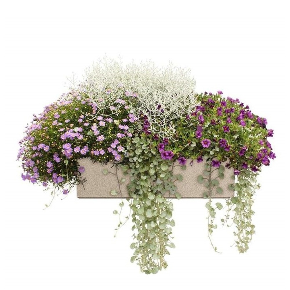 Květinové truhlíky - Stříbrná a fialová Lechuza Stone