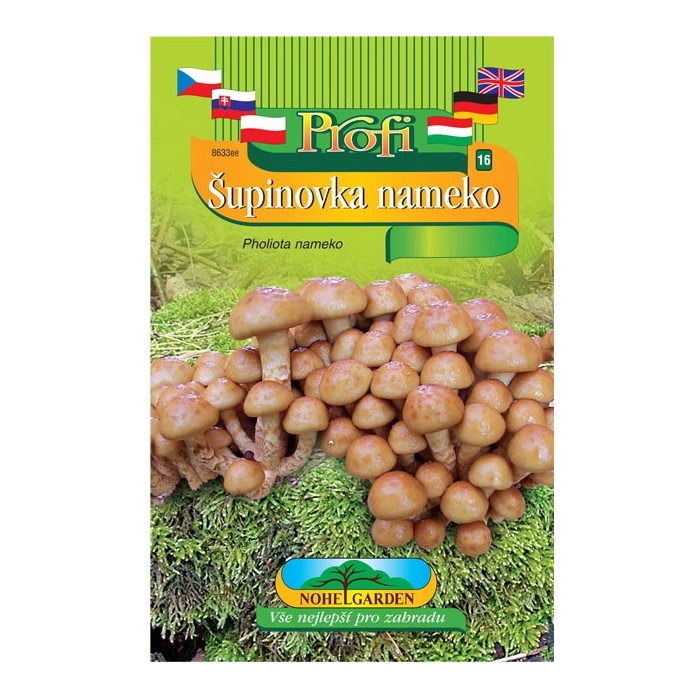 Houby - Šupinovka nameko