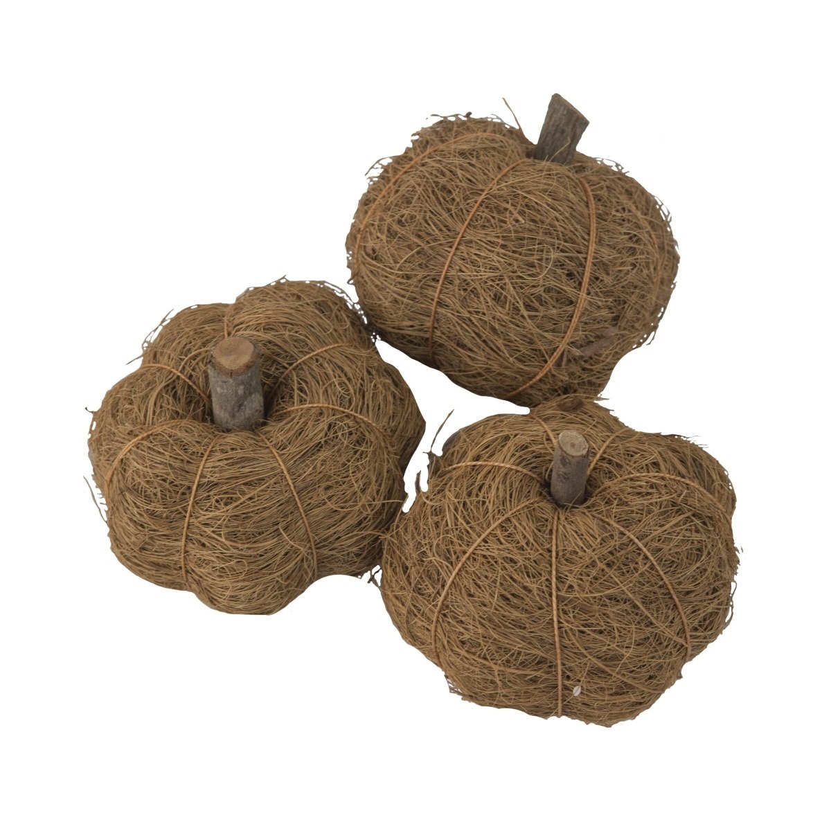 Přízdoby - Sušina dýně Coir hnědá 6cm/2ks