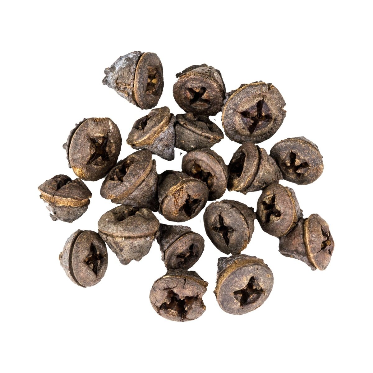 Přízdoby - Sušina Eucalyptové plody hnědé 20ks