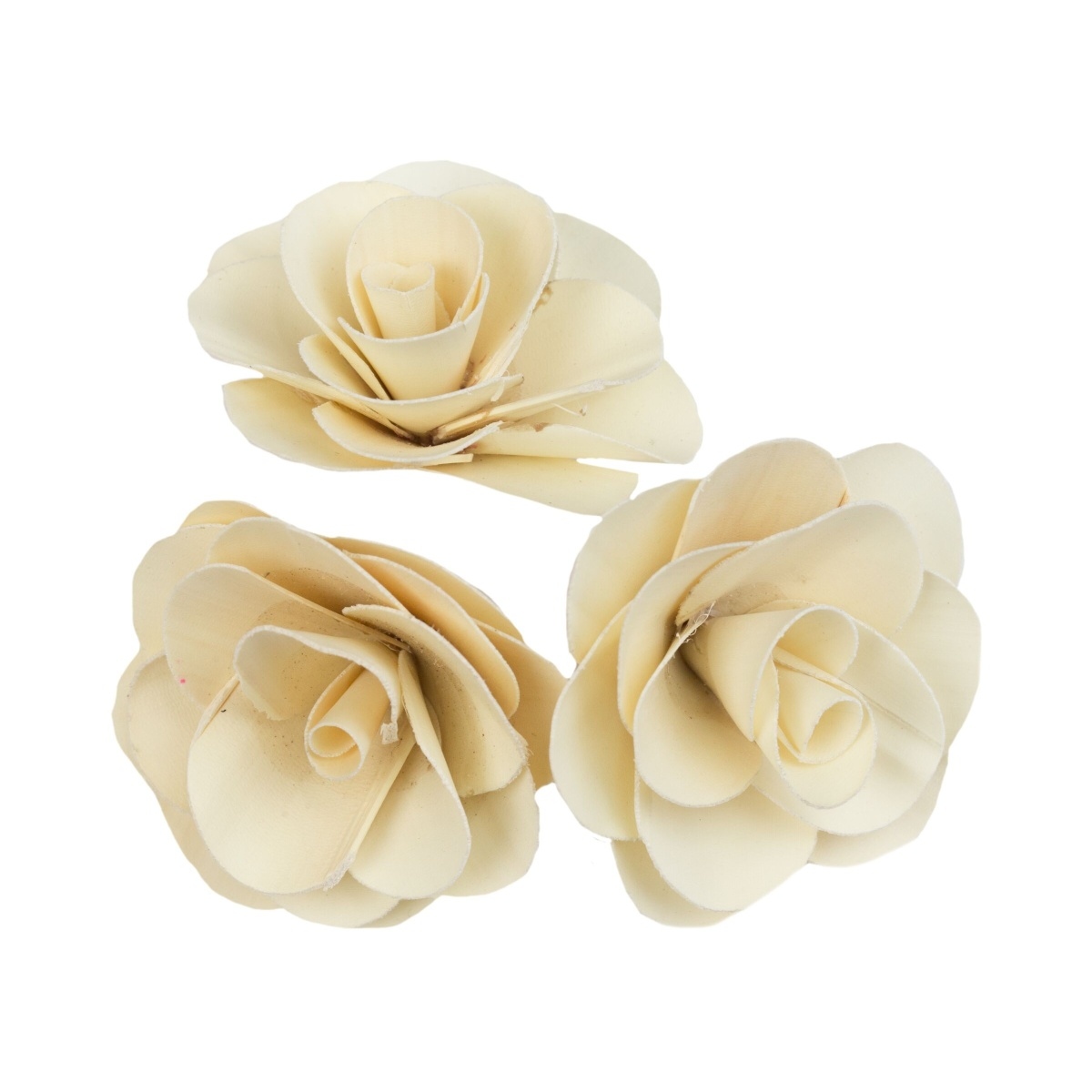 Přízdoby - Sušina Palm deco Rose krémová 6cm/3ks