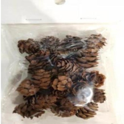 Sušina šišky modřín přírodní 25g