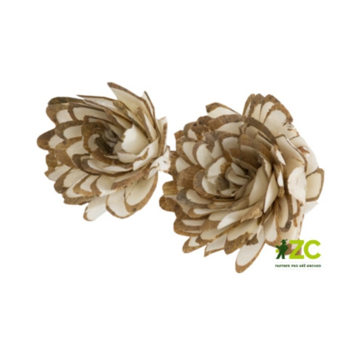 Přízdoby - Sušina Sola Chips Daliya přírodní 2ks