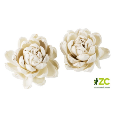 Přízdoby - Sušina Sola Tim Gardenia Flower bílá 2ks