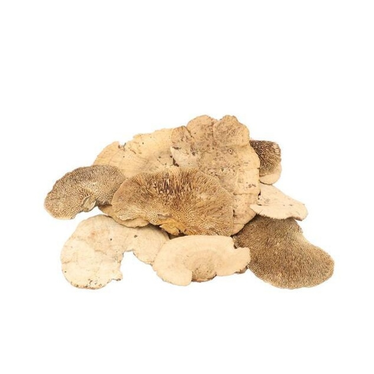 Přízdoby - Sušina Sponge Mushroom přírodní 2ks